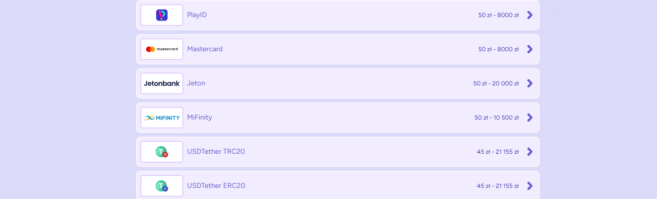 płatności zapewnia